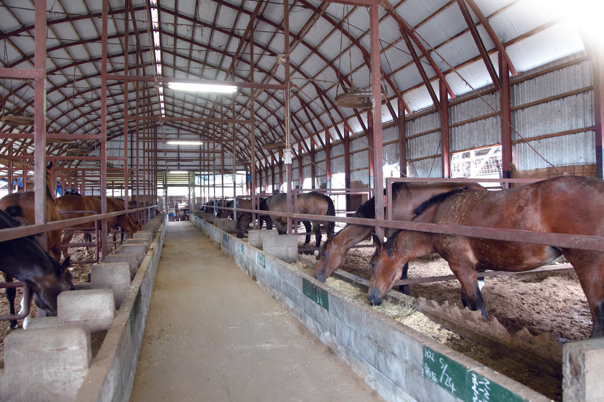 会津畜産の牧場